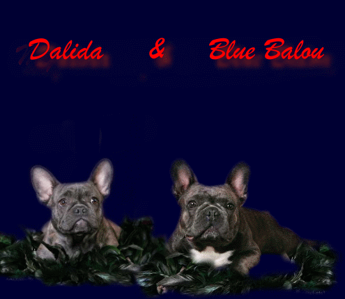 Dalida und Blue Balou