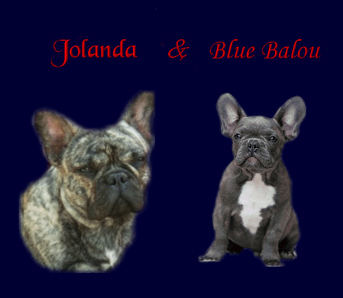 Jolanda und Blue Balou