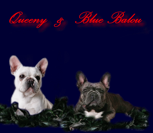 Queeny und Blue Balou